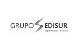 Grupo Edisur